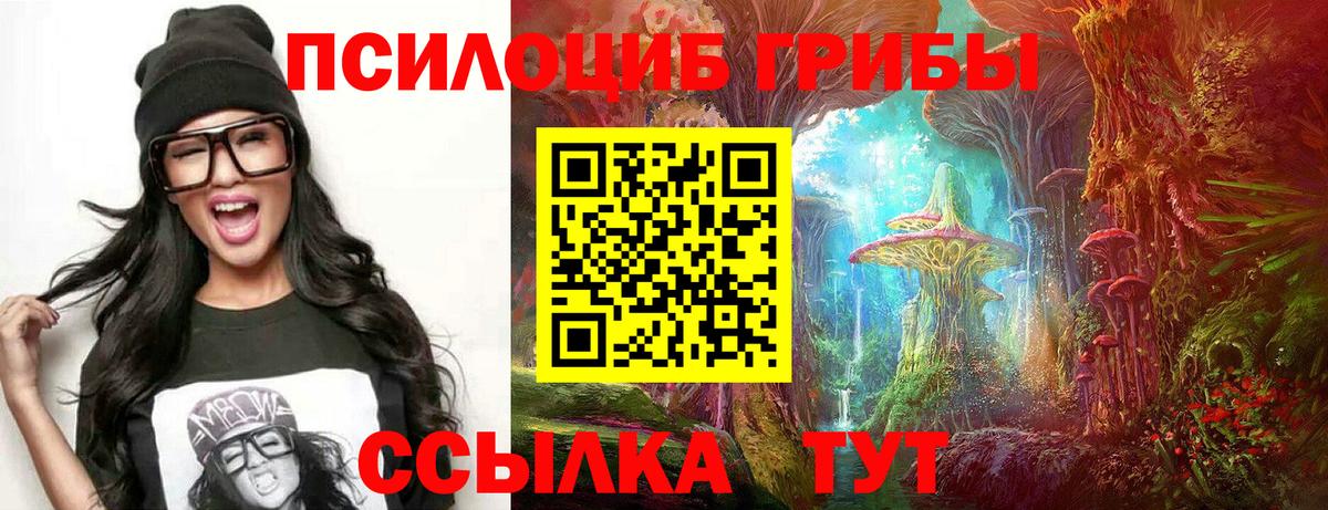 Гай  Псилоцибиновые грибы Psilocybe  Вход с VPN 