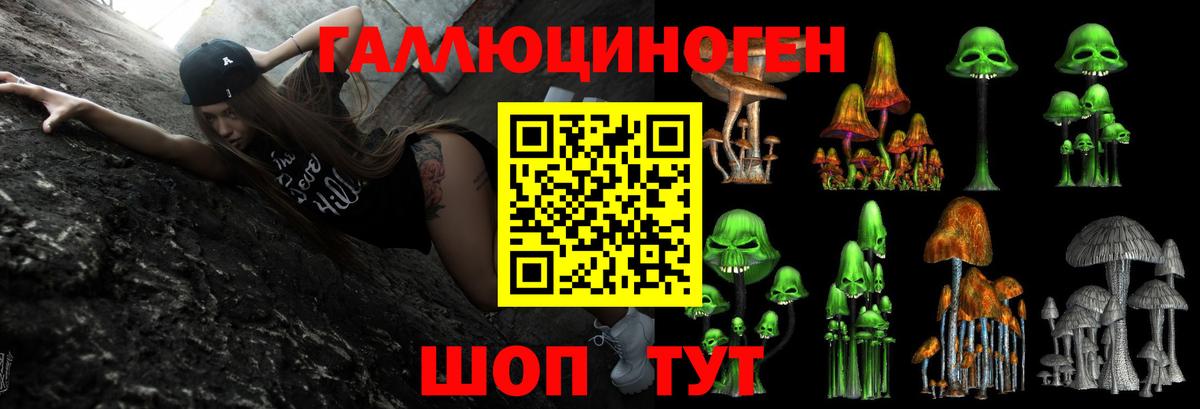 Псилоцибиновые грибы Magic Shrooms Гай