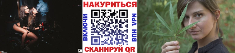 сайты даркнета телеграм  где продают наркотики  Гай  Каннабис сатива 